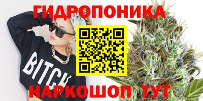 2c-b Северобайкальск