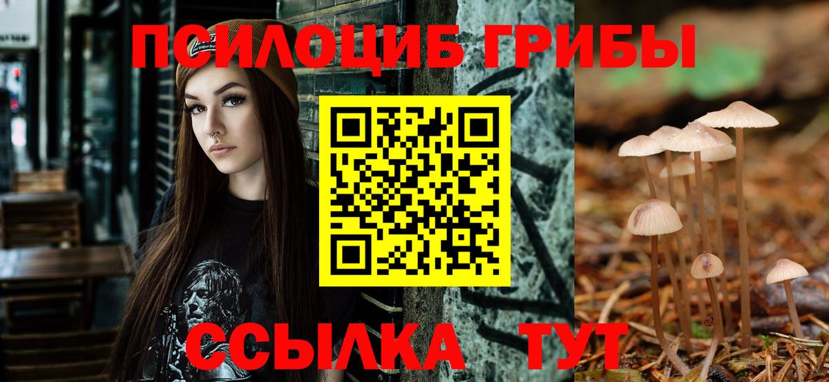 Псилоцибиновые грибы Cubensis Советский